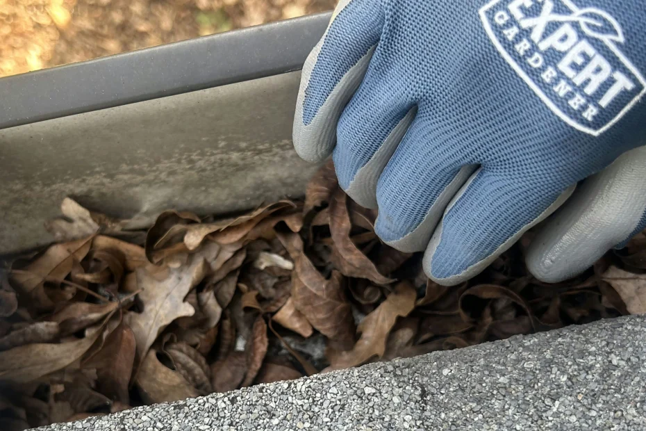 Gutter Cleaning Metrowest