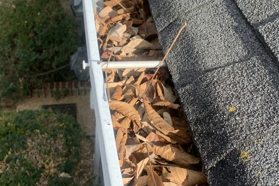 Gutter Cleaning Metrowest