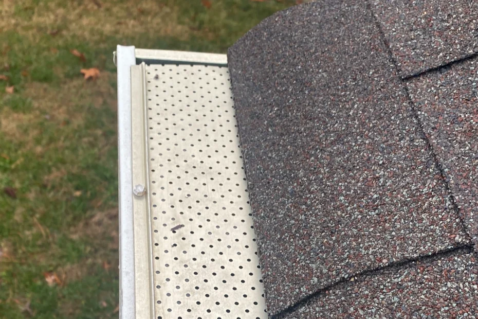 Gutter Cleaning Metrowest